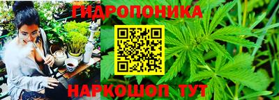 apvp Волгодонск